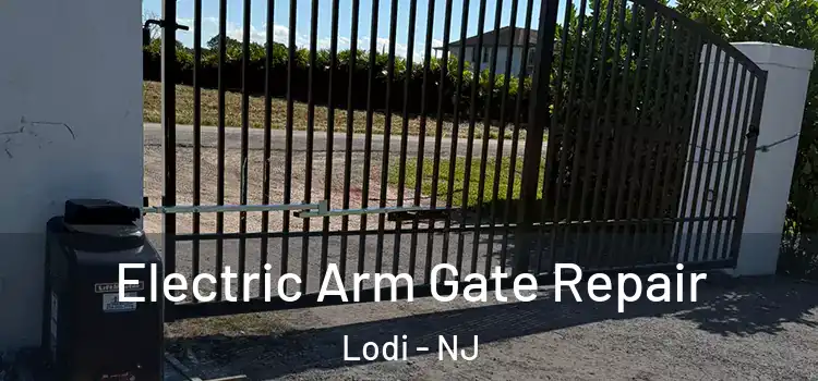 Electric Arm Gate Repair Lodi - NJ